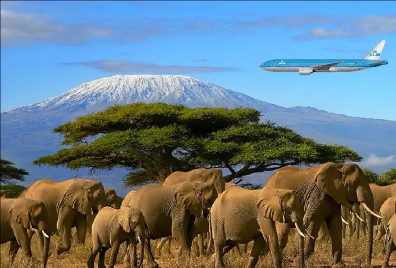 Wildlife Experiences