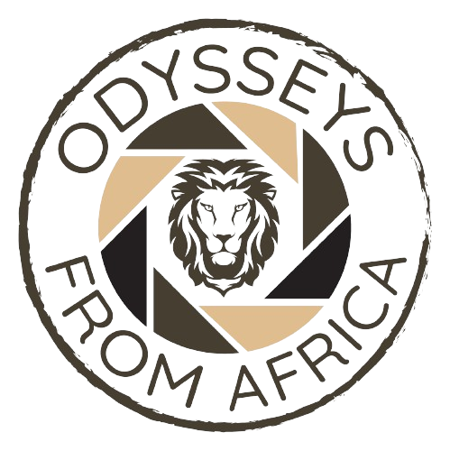 Odysseys From Africa