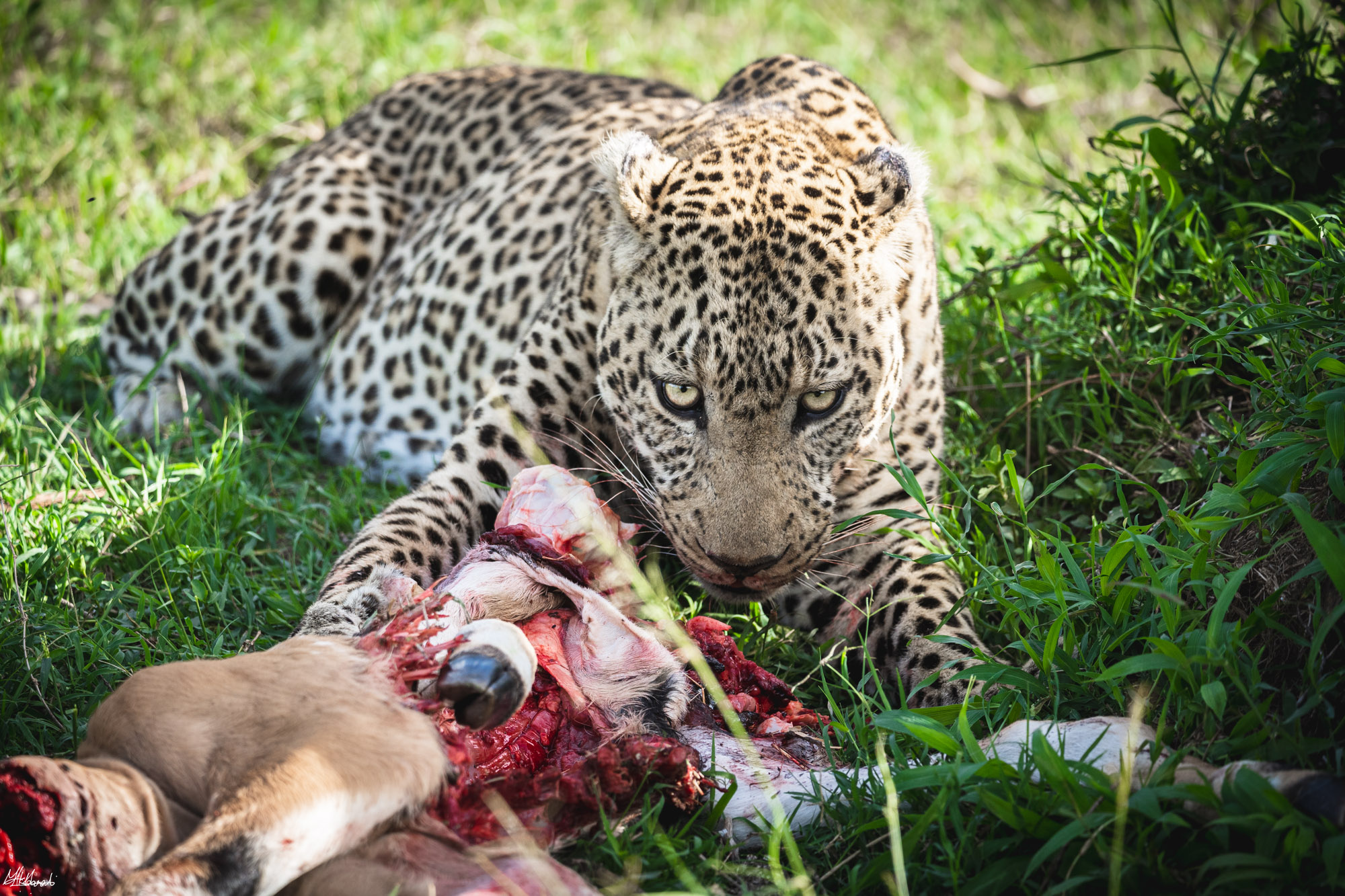 Tarangire National Park Tanzania