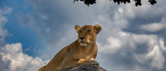 best time to visit Tanzania
