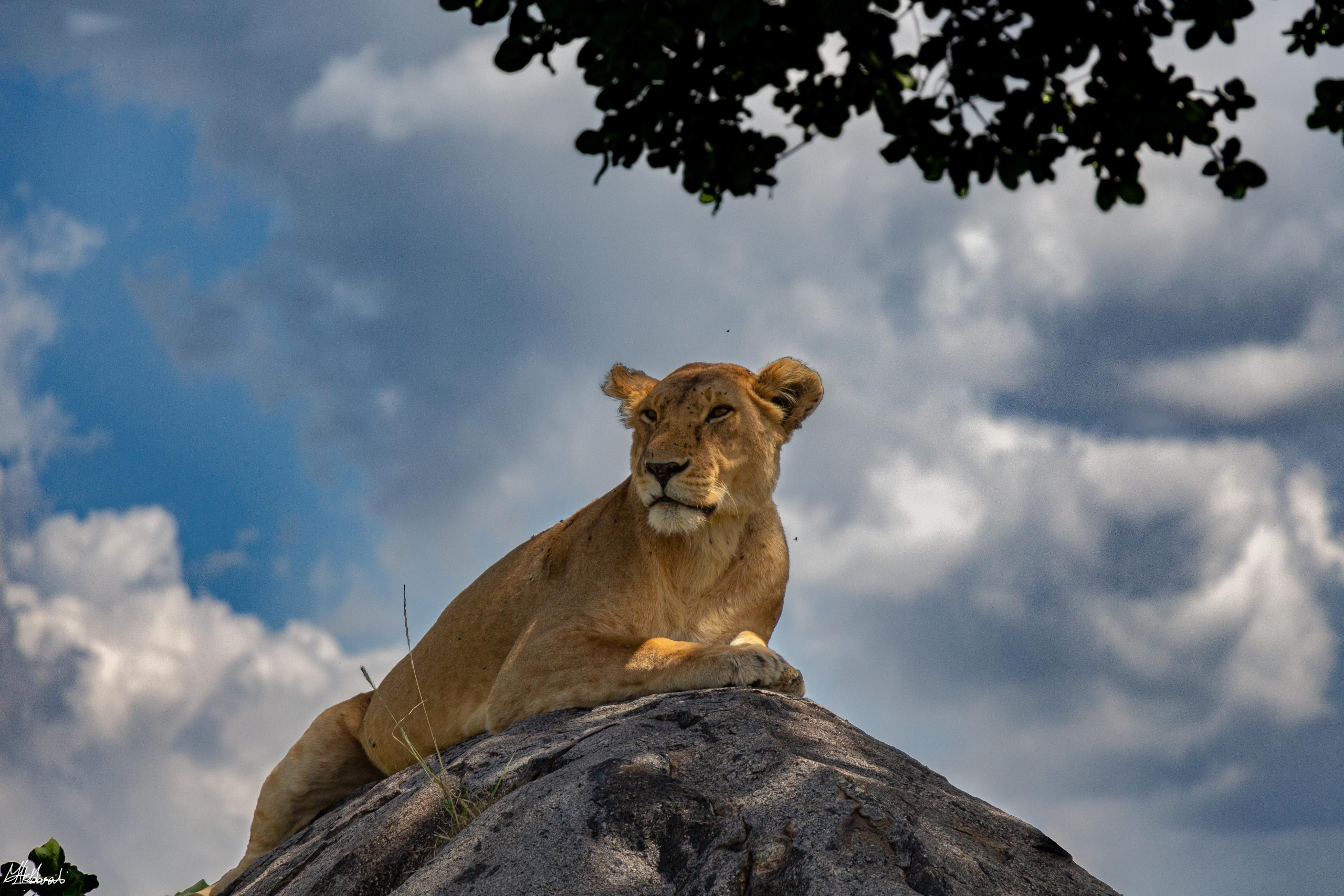 best time to visit Tanzania