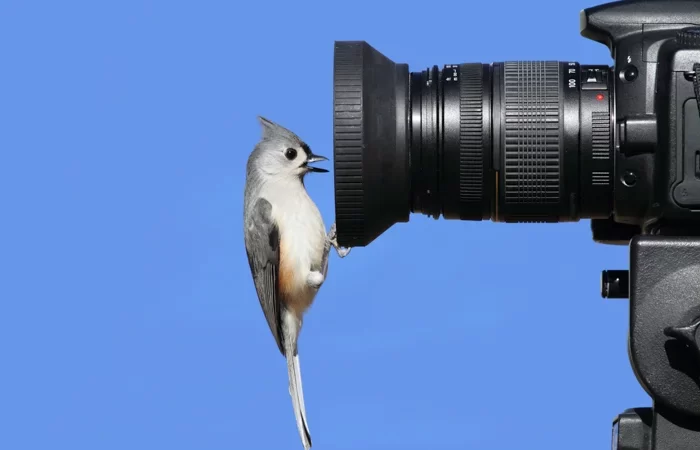 Serengeti Photographic Safari Gear