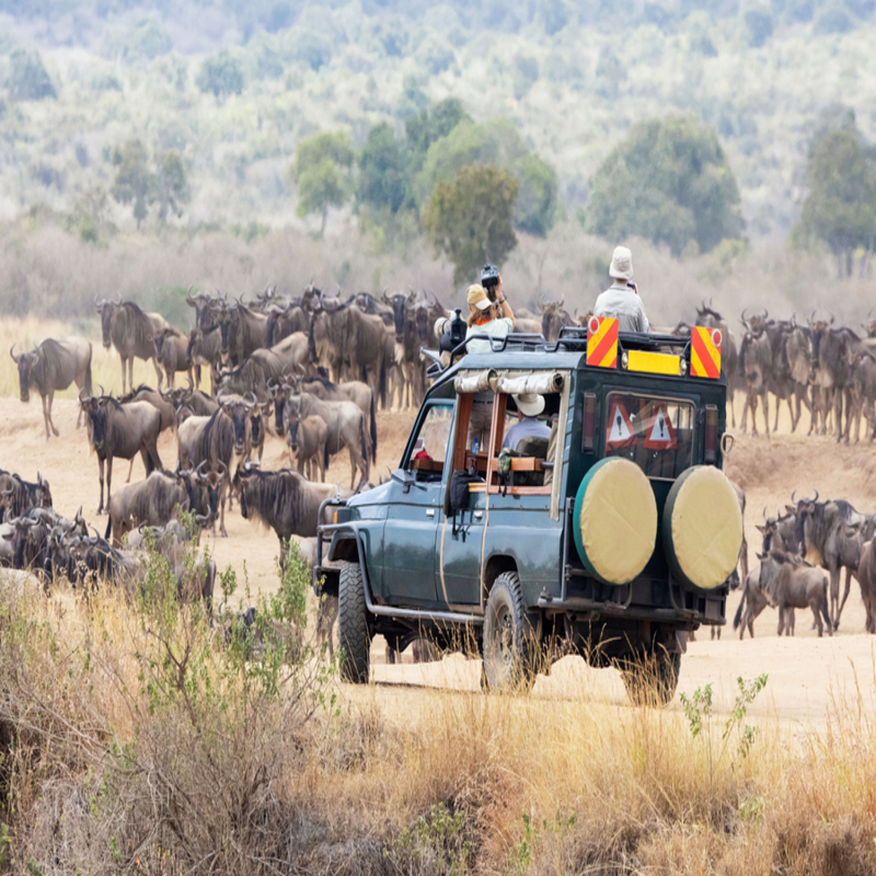 safari travel insurance Tanzania