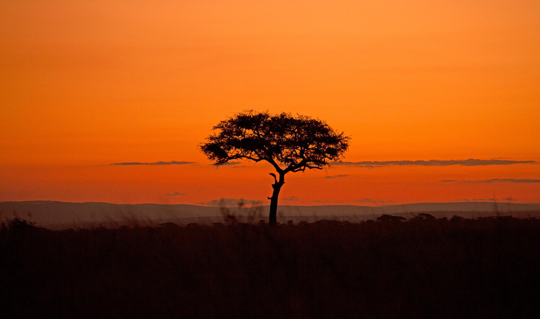 best time to visit Serengeti