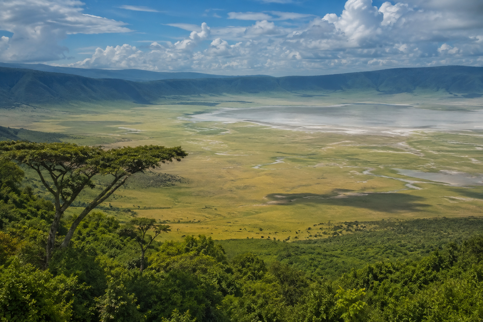 Ngorongoro Conservation Area
