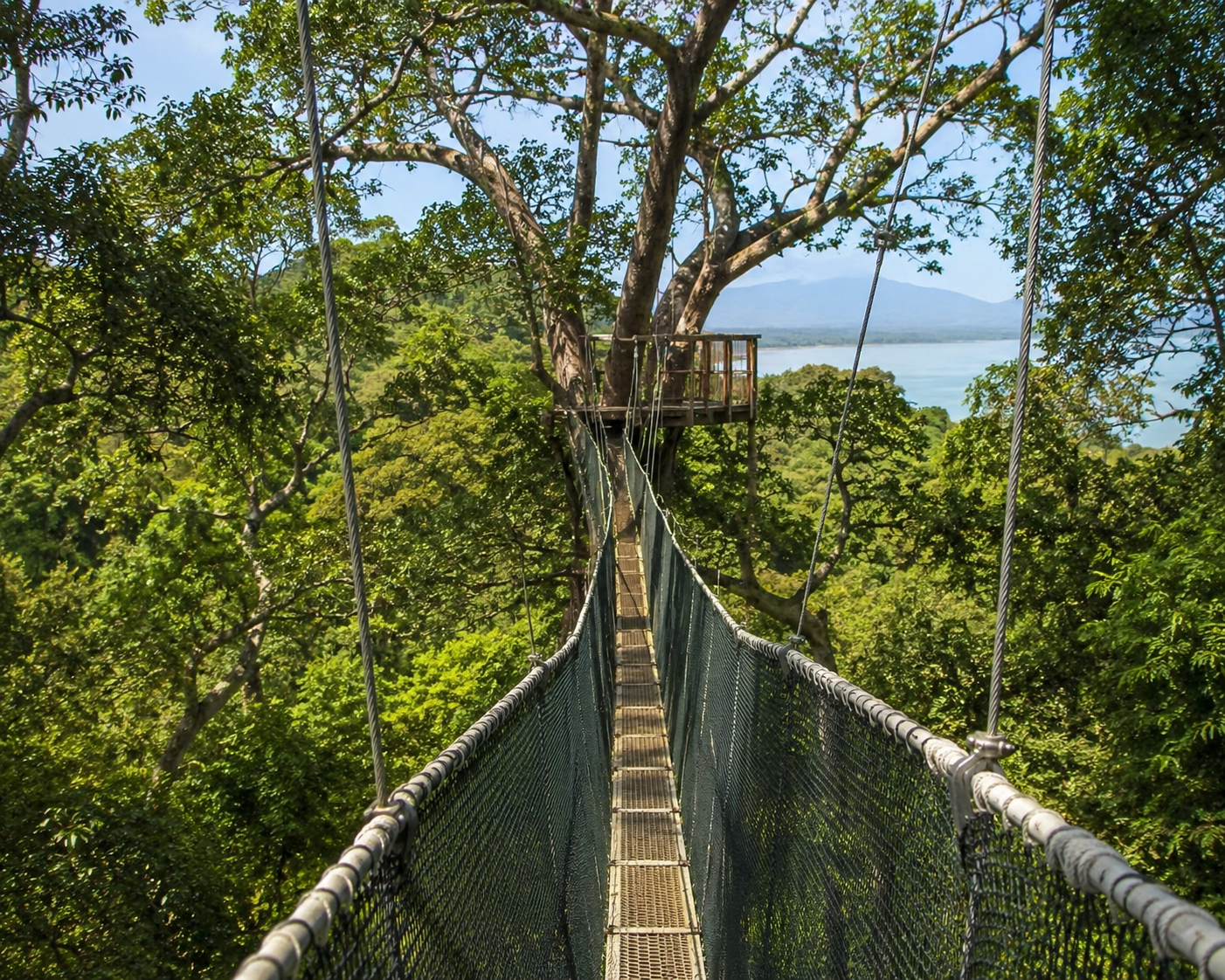 Lake Manyara canopy walkway