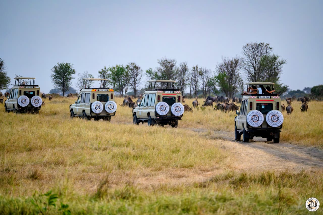 Odysseys From Africa safari vehicles on a game drive
