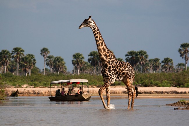 Nyerere National Park boat safari