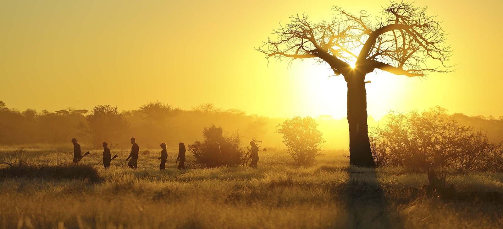 safaris
