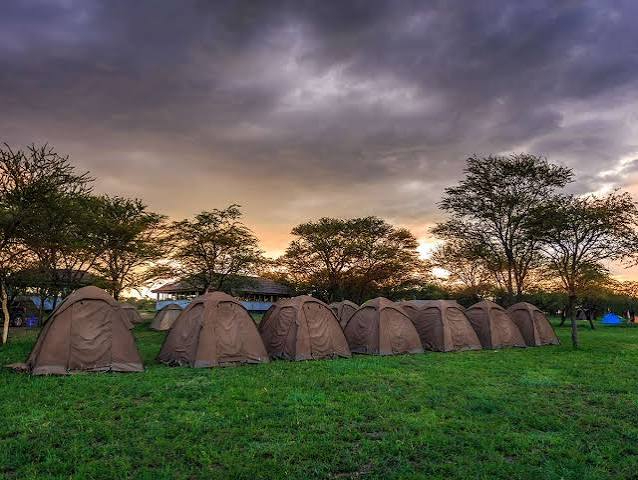 safaris