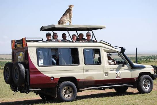 Safaris