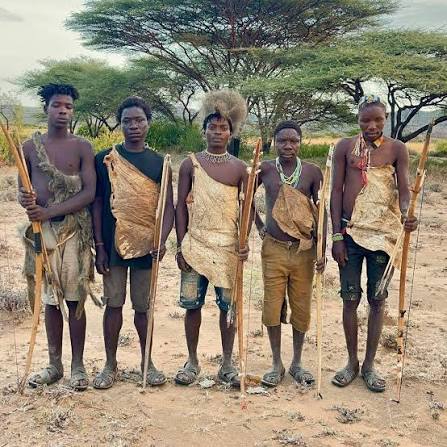 Safaris