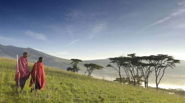 Safaris
