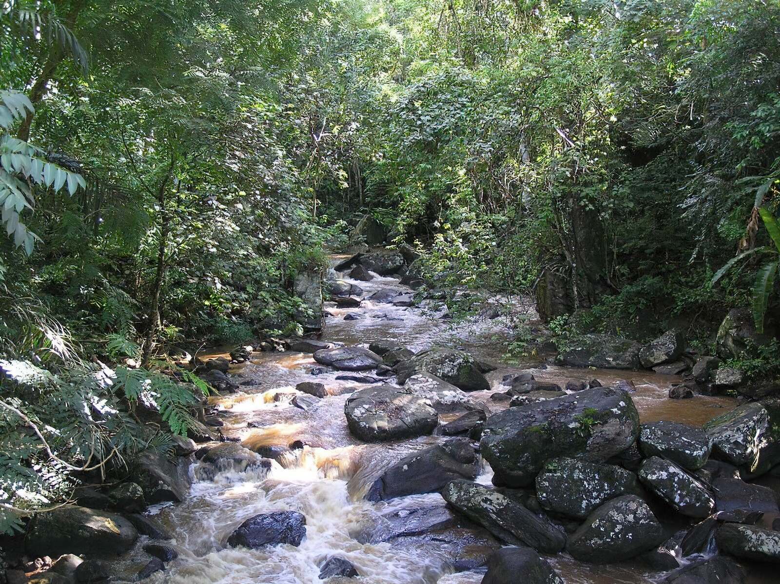 Amani Nature Reserve